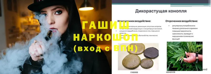 блэк спрут   что такое наркотик  Ржев  ГАШ Cannabis 